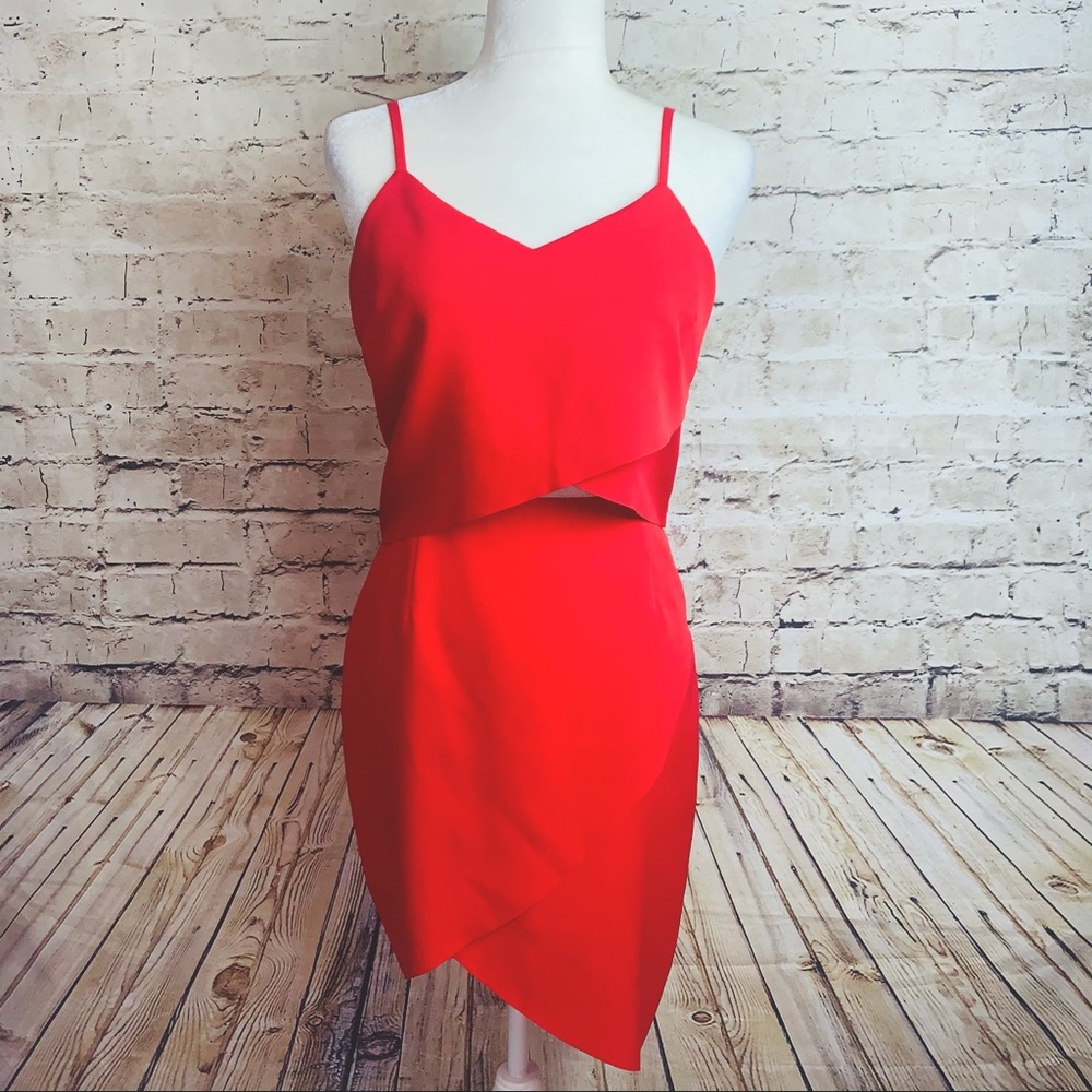 “Elliott”/ Revolve  The Shot Tulip Cocktail Dress